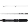 Спиннинг DAIWA Ninja NJZ702LFS-AR 11001-01R
